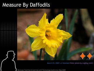 Measure By Daffodils March 23, 2007: cc licensed  flickr photo by cogdog (me!) 