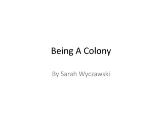 Being A Colony

By Sarah Wyczawski
 
