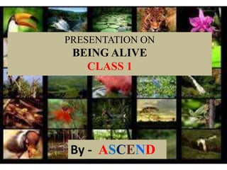 By - ASCEND
PRESENTATION ON
BEING ALIVE
CLASS 1
 