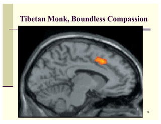 Tibetan Monk, Boundless Compassion




                                 10
 