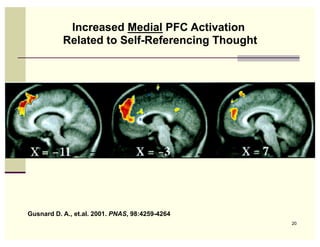 Increased Medial PFC Activation
           Related to Self-Referencing Thought




Gusnard D. A., et.al. 2001. PNAS, 98:4259-4264
                                                 20
 