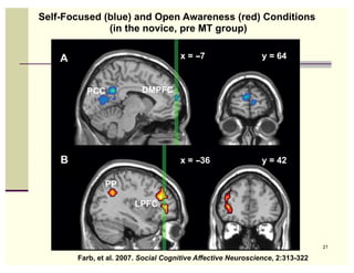 Self-Focused (blue) and Open Awareness (red) Conditions
              (in the novice, pre MT group)




                                                                               21

       Farb, et al. 2007. Social Cognitive Affective Neuroscience, 2:313-322
 