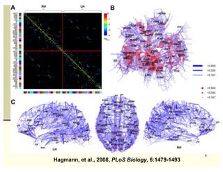 The Connectome - 2




                                                       6
    Hagmann, et al., 2008, PLoS Biology, 6:1479-1493
 