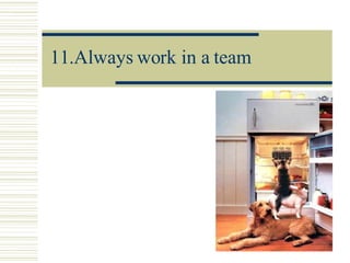 11.Always work in a team