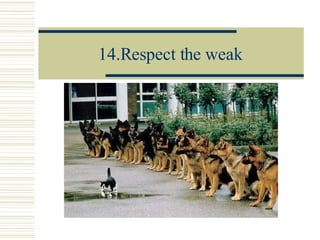 14.Respect the weak