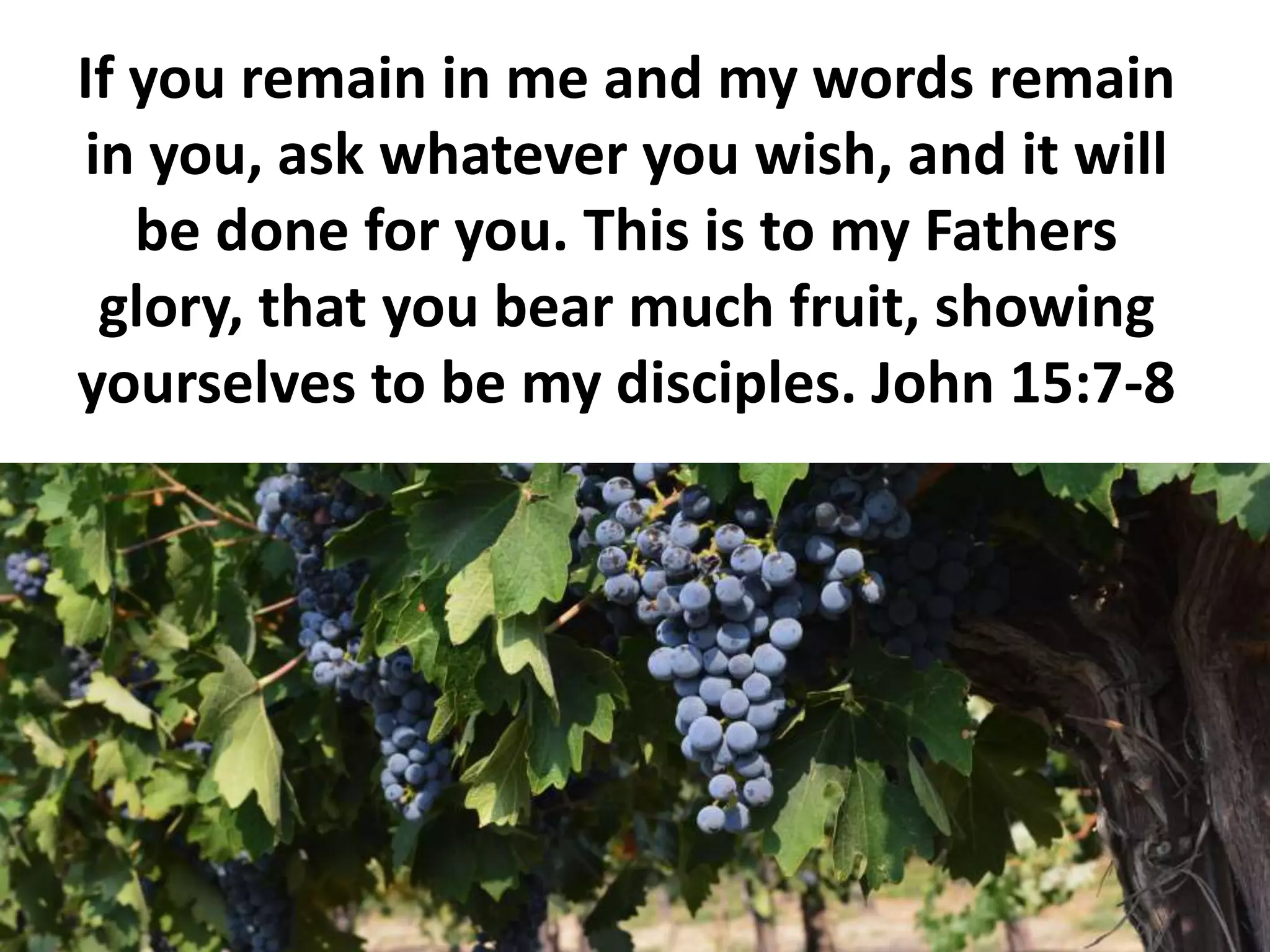 If you remain in me and my words remain
in you, ask whatever you wish, and it will
be done for you. This is to my Fathers
glory, that you bear much fruit, showing
yourselves to be my disciples. John 15:7-8
 