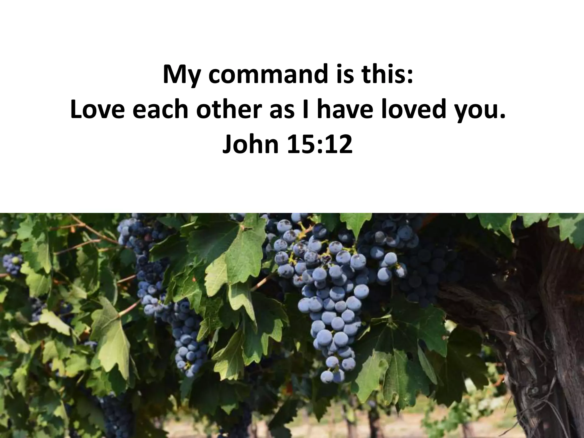 My command is this:
Love each other as I have loved you.
John 15:12
 