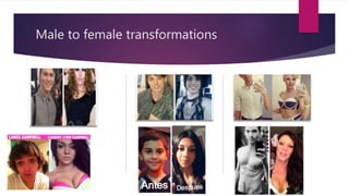 Male to female transformations
 