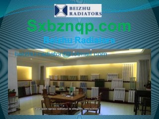 Sxbznqp.com
Beizhu Radiators

 