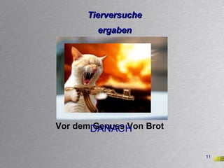 Tierversuche ergaben Vor dem Genuss Von Brot DANACH 