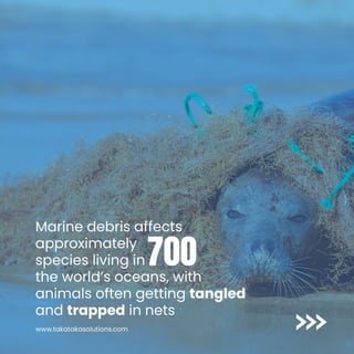 Marine debris affects
approximately
species living in
the world’s oceans, with
animals often getting tangled
and trapped in nets
700
www.takatakasolutions.com
 
