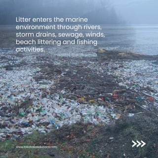 Litter enters the marine
environment through rivers,
storm drains, sewage, winds,
beach littering and fishing
activities.
www.takatakasolutions.com
 