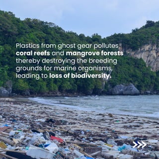 Plastics from ghost gear pollutes
coral reefs and mangrove forests
thereby destroying the breeding
grounds for marine organisms,
leading to loss of biodiversity.
www.takatakasolutions.com
 