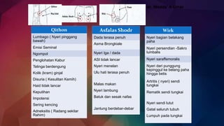 * dr. Wadda’ A Umar
Qithon
Lumbago ( Nyeri pinggang
bawah)
Emisi Seminal
Ngompol
Penglohatan Kabur
Telinga berdengung
Kolik (kram) ginjal
Disuria ( Kesulitan Kemih)
Haid tidak lancar
Keputihan
Impotensi
Sering kencing
Adneksitis ( Radang sekitar
Rahim)
Asfalas Shodr
Dada terasa penuh
Asma Brongkiale
Nyeri Iga / dada
ASI tidak lancar
Nyeri menelan
Ulu hati terasa penuh
Malas makan
Nyeri lambung
Batuk dan sesak nafas
Jantung berdebar-debar
Wirk
Nyeri bagian belakang
paha
Nyeri persendian -Sakro
lumbalis
Nyeri saraffemoralis
Nyeri dari punggung
kepinggul ke belang paha
hingga betis
Artritis ( nyeri) sendi
tungkai
Rematik sendi tungkai
Nyeri sendi lutut
Gatal seluruh tubuh
Lumpuh pada tungkai
 