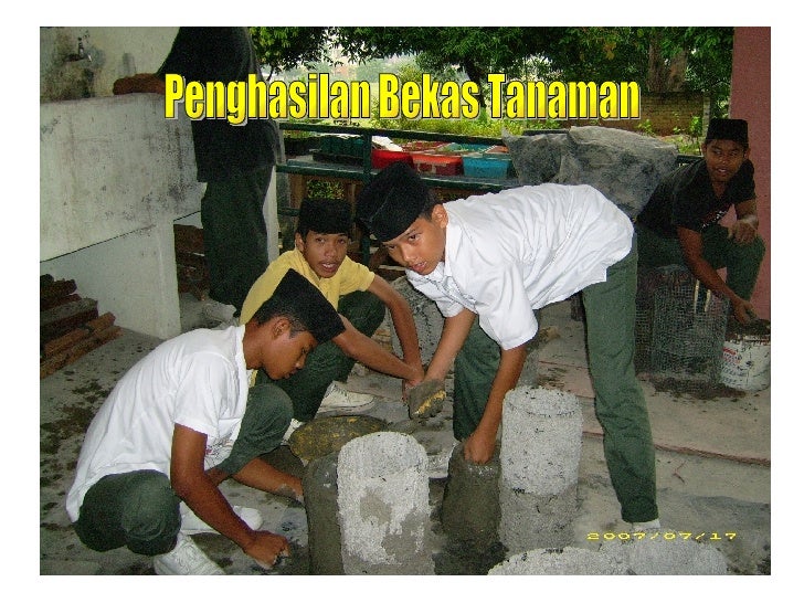 Bekas Tanaman Bekas Tanaman