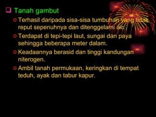  Tanah gambut
  o Terhasil daripada sisa-sisa tumbuhan yang tidak
    reput sepenuhnya dan ditenggelami air.
  o Terdapat di tepi-tepi laut, sungai dan paya
    sehingga beberapa meter dalam.
  o Keadaannya berasid dan tinggi kandungan
    niterogen.
  o Ambil tanah permukaan, keringkan di tempat
    teduh, ayak dan tabur kapur.
 