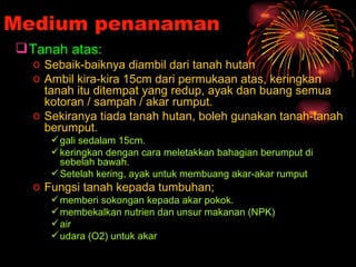 Medium penanaman
 Tanah atas:
  o Sebaik-baiknya diambil dari tanah hutan
  o Ambil kira-kira 15cm dari permukaan atas, keringkan
    tanah itu ditempat yang redup, ayak dan buang semua
    kotoran / sampah / akar rumput.
  o Sekiranya tiada tanah hutan, boleh gunakan tanah-tanah
    berumput.
      gali sedalam 15cm.
      keringkan dengan cara meletakkan bahagian berumput di
       sebelah bawah.
      Setelah kering, ayak untuk membuang akar-akar rumput
  o Fungsi tanah kepada tumbuhan;
      memberi sokongan kepada akar pokok.
      membekalkan nutrien dan unsur makanan (NPK)
      air
      udara (O2) untuk akar
 