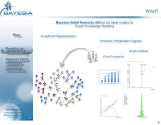 BEKEE, Expert Knowledge Modeling with Bayesian Belief Networks | PDF