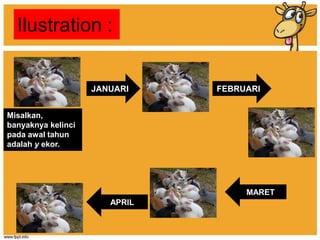 Ilustration :
JANUARI FEBRUARI
MARET
APRIL
Misalkan,
banyaknya kelinci
pada awal tahun
adalah y ekor.
 