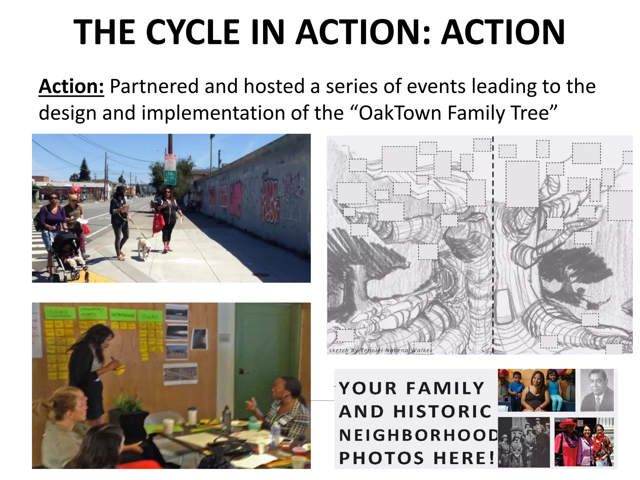 THE CYCLE IN ACTION: ACTION
Action: Partnered and hosted a series of events leading to the
design and implementation of the “OakTown Family Tree”
 