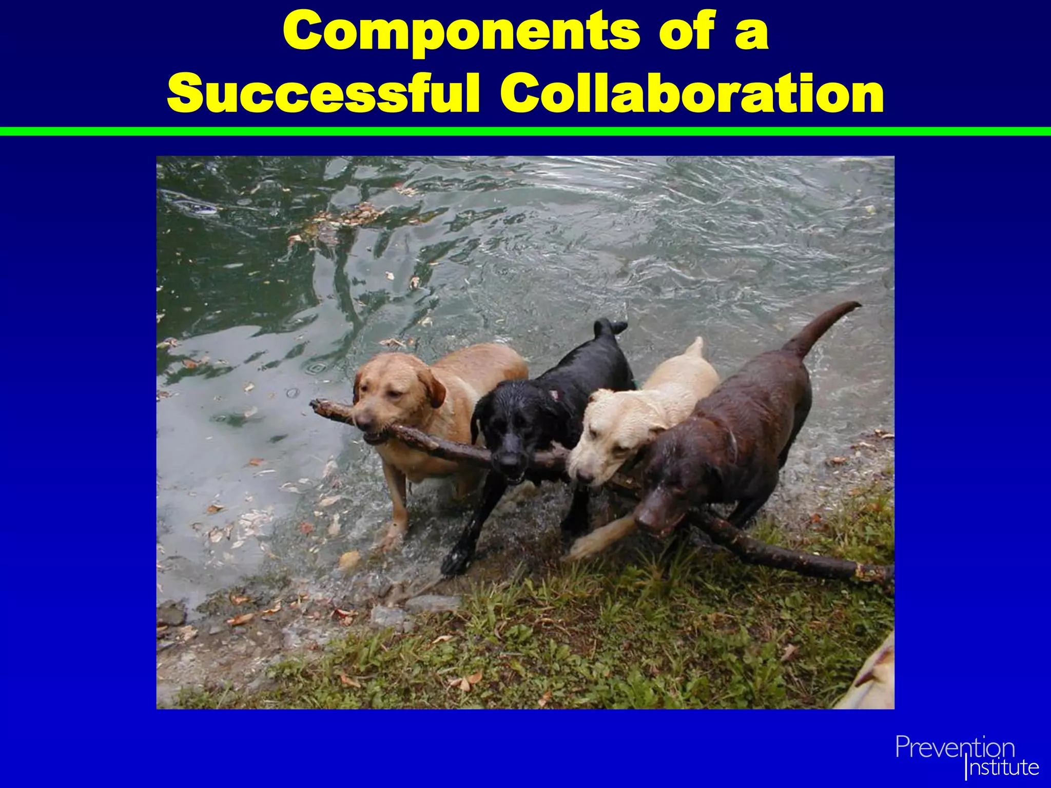 Components of a
Successful Collaboration
 