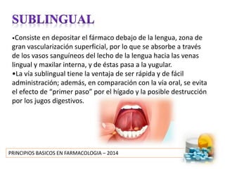 PRINCIPIOS BASICOS EN FARMACOLOGIA – 2014
•Consiste en depositar el fármaco debajo de la lengua, zona de
gran vascularización superficial, por lo que se absorbe a través
de los vasos sanguíneos del lecho de la lengua hacia las venas
lingual y maxilar interna, y de éstas pasa a la yugular.
•La vía sublingual tiene la ventaja de ser rápida y de fácil
administración; además, en comparación con la vía oral, se evita
el efecto de “primer paso” por el hígado y la posible destrucción
por los jugos digestivos.
 