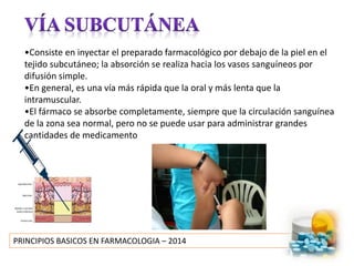 PRINCIPIOS BASICOS EN FARMACOLOGIA – 2014
•Consiste en inyectar el preparado farmacológico por debajo de la piel en el
tejido subcutáneo; la absorción se realiza hacia los vasos sanguíneos por
difusión simple.
•En general, es una vía más rápida que la oral y más lenta que la
intramuscular.
•El fármaco se absorbe completamente, siempre que la circulación sanguínea
de la zona sea normal, pero no se puede usar para administrar grandes
cantidades de medicamento
 