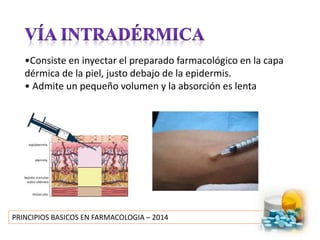 PRINCIPIOS BASICOS EN FARMACOLOGIA – 2014
•Consiste en inyectar el preparado farmacológico en la capa
dérmica de la piel, justo debajo de la epidermis.
• Admite un pequeño volumen y la absorción es lenta
 