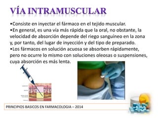 PRINCIPIOS BASICOS EN FARMACOLOGIA – 2014
•Consiste en inyectar el fármaco en el tejido muscular.
•En general, es una vía más rápida que la oral, no obstante, la
velocidad de absorción depende del riego sanguíneo en la zona
y, por tanto, del lugar de inyección y del tipo de preparado.
•Los fármacos en solución acuosa se absorben rápidamente,
pero no ocurre lo mismo con soluciones oleosas o suspensiones,
cuya absorción es más lenta.
 