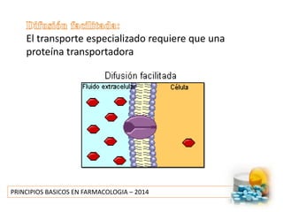 PRINCIPIOS BASICOS EN FARMACOLOGIA – 2014
El transporte especializado requiere que una
proteína transportadora
 