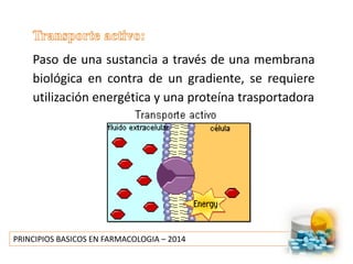 PRINCIPIOS BASICOS EN FARMACOLOGIA – 2014
Paso de una sustancia a través de una membrana
biológica en contra de un gradiente, se requiere
utilización energética y una proteína trasportadora
 