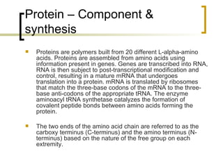 Protein – Component & synthesis Proteins are polymers built from 20 different L-alpha-amino acids. Proteins are assembled from amino acids using information present in genes. Genes are transcribed into RNA, RNA is then subject to post-transcriptional modification and control, resulting in a mature mRNA that undergoes translation into a protein. mRNA is translated by ribosomes that match the three-base codons of the mRNA to the three-base anti-codons of the appropriate tRNA. The enzyme aminoacyl tRNA synthetase catalyzes the formation of covalent peptide bonds between amino acids forming the protein. The two ends of the amino acid chain are referred to as the carboxy terminus (C-terminus) and the amino terminus (N-terminus) based on the nature of the free group on each extremity. 