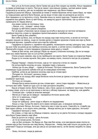 7
БЕЛА ГРИВА
Као што је Антонио рекао, Бела Грива као да је био саздан од гвожђа. Коњи гардијана
су једва успевалида га прате. Пастув је сваког часа мењао правац, његова дивна грива
лепршала је на ветру, реп му се вијорио као перјаница, као бели пламен.
Грудима је разгртао жбуње, прескакао је локве и таквом брзином летео преко бара, на чијим
су површинама цветали бели бокори, да му вода готово није ни допирала до копита.
Али гардијани су га пратили у стопу. Њихови коњи су знали куда иду. Газдина кућа и стаје,
скривене иза дрвећа, били су већ близу, на завијутку другог пропланка, где су копита
одзвањала по тврдој земљи.
Још један напор за последњу трку.
- Лакше, стој... ограде! - викну газда.
Ограде су већ биле широм отворене.
Пут је водио у ћорсокак где је ограда од кочића и врљика на чистини затварала
ограђени простор у комe су гардијани припитомљавали и вежбали коње.
Бела Грива је био ухваћен.
Ван себе од беса, коњ се бацио на ограду која није попуштала, а затим се потпуно
изнурен срушио на земљу, онда се поново дигао и појурио кружном стазом око које су биле
наслагане врљике, тражећи излаз кроз који би побегао.
Гардијани су сјахали и, скривени иза дрвећа, посматрали његову узалудну трку. Једном
од њих пође за руком да му пребаци конопац око врата, а затим скочи у ограђени простор.
Прескачући ограду, остали гардијани пожурише свом другу у помоћ.
Човек је био хитар, али узалуд! Убрзо се нашао у опасном положају. Да ли се икада
неки коњ овако бранио пре но што је био ухваћен!
Упола угушен замком, коју су му пребацили око врата, Бела Грива се очајнички борио.
Људи су га поново мучили. Без даха, на измаку снаге, поносити пастув се усправио,
скочио...
- Најзад! Најзад! - повика Антонио, који је тог тренутка стигао са газдом.
Не испуштајући конопац из руку, гардијан паде у прашину.
- Хоћеш да те коњ убије!... - грдио је Антонио. Потпуно помахнитао, Бела Грива је био
спреманда људе раскине зубима или да их измрцвари копитима.
Срећом, успео је да прекине конопац који му је стезао врат.
- Полудео си, Антонио! -урликну газда.
Држећи се за ограду због своје болесне ноге,Антонио је сјахао и отворио вратнице
ограђеног простора.
- Потпуно си полудео...
- Можда бисте више волели да коњ сломи врат - рече стари гардијан. - Животиња је
потпуно ван себе. Право је чудо што се није догодила несрећа...
Кад је угледао излаз, Бела Грива је, сав у пени, јурнуо из ограђеног простора. Полетео
је поред газде, упути се ка пропланку и нестао у облаку прашине, на завијутку, иза дрвећа.
- Успешан дан - гунђао је власник манаде.
- Могао је и горе да се заврши - промрмља Антонио кроза зубе.
- Шта ти то мрмљаш, стари?
- Ништа, газда, ништа.
- Онда не трабуњај - рече газда и обрати се гардијанима:
- Коње у стају. Сутра ће имати исто овако напоран дан, а можда и напорнији.
Ухватићемо великог белца, Антонио. Укротили смо и горе од њега. Ухватићу га, ставићу му
ђем преко губице, а на седло лепе узенгије... Можда желиш да га први узјашеш, Антонио!
Гардијани прснуше у смех.
На слами, у стаји где су обојица спавали, нашли су се увече Антонио и млади гардијан
кога Бела Грива замало није убио.
Лако је ругати се старцу - рече Антонио.
- Ја ти се нисам ругао, Антонио.
- Јер си био уплашен. Не брани се. Кад сам био млад, и ја сам једном имао посла са
коњем који је био поносан као овај белац. Неукротив... Никад нам није пошло за руком да га
ухватимо! Газда је господар, али да сам ја на његовом месту, не би желео несрећу по сваку
цену.
- Знаш, Антонио, газда је дивљак.
 