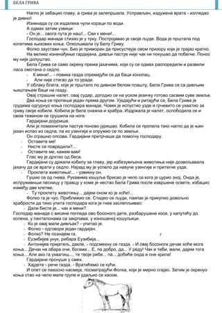 7
БЕЛА ГРИВА
Нагло је забацио главу, а грива је залепршала. Усправљен, издужена врата - изгледао
је дивно!
Изненада су се издалека чули кораци по води.
А одмах затим узвици:
- Он је... овога пута је наш!... Сви к мени!...
Господар манаде стизао је у трку. Постројавао је своје људе. Вода је прштала под
копитима њихових коња. Опкољавали су Белу Гриву.
Фолко заустави чун. Био је приморан да присуствује овом призору који је трајао кратко.
На велико изненађење гардијана, дивљи пастув није чак ни покушао да побегне. Понос
му није допуштао.
Бела Грива се само окрену према јахачима, који су се одмах распоредили и развили
ласа омотана о седло.
- К мени!... - повика газда спремајући се да баци конопац.
- Али није стигао да то уради.
У облаку блата, које је прштало по дивном белом плашту, Бела Грива се са дивљим
њиштањем баци на газду.
Овај страшни налет, овај судар, догодио се на уском језичку готово сасвим суве земље.
Два коња се пропеше један према другом. Уједајући и ритајући се, Бела Грива је
грудима одгурнуо коња господара манаде. Човек је испустио узде и грчевито се ухватио за
гриву своје кобиле. Кобила је била снажна и храбра. Издржала је налет, ослободила се и
свом тежином се срушила на ноге.
Гардијани дојурише.
Али је помахнитали пастув поново јуришао. Кобила се пропела тако нагло да је њен
јахач испао из седла, па из узенгија и опружио се по земљи.
Он сграшно опсова. Гардијани притрчаше да помогну господару.
- Оставите ме!
- Нисте се повредили?...
- Оставите ме, кажем вам!
Глас му је дрхтао од беса.
Гардијани су држали кобилу за главу, јер избезумљена животиња није дозвољавала
јахачу да се врати у седло. Најзад му је успело да навуче узенгије и притегне узде.
- Проклета животиња!... - узвикну он.
Гушио се од гнева. Рукавима кошуље брисао је чело са кога је цурио зној. Онда је,
испруживнши песницу у правцу у коме је нестао Бела Грива после извршене освете, избацио
између две клетве;
- Ту проклету животињу... дајем оном ко је хоће!...
Фолко га је чуо. Приближио се. Стидео се људи, паипак је прикупио довољно
храбрости да тихо упита господара кога је гнев заслепљивао:
- Дали бисте је... чак и мени?
Господар манаде с висине погледа ово босоного дете, разбарушене косе, у капутићу до
колена, у панталонама са закрпама, у изношеној кошуљици.
- Ко је овај мали дивљак? - упитао је.
- Фолко - одговори један гардијан.
- Фолко? Не познајем га.
- Еузибијев унук, рибара Еузибија...
- Антонијев пријатељ, дакле, - подсмехну се газда. - И овај босоноги дечак хоће мога
коња... Дечак не обара очи, богами... Е, па добро, да... У реду! Чак и теби, мали, дајем тога
коња... Али ако га ухватиш..., те твоје рибе... па... добиће онда и оне крила!
Гардијани прснуше у смех.
- Хајдете - рече газда. - Вратићемо се кући.
И опет се пакосно насмеја, посматрајући Фолка, који је мирно сгајао. Затим је окренуо
коња стао на чело мале групе и удаљио се касом.
 