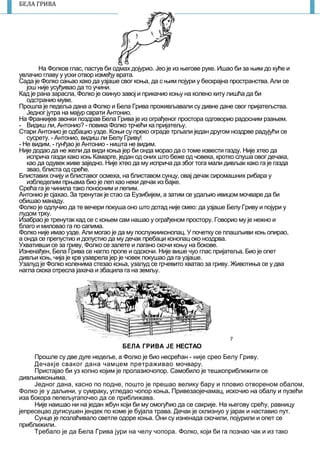 7
БЕЛА ГРИВА
На Фолков глас, пастув би одмах дојурио. Јео је из његове руке. Ишао би за њим до куће и
увлачио главу у уски отвор између врата.
Сада је Фолко сањао како да узјаше свог коња, да с њим појури у бескрајна пространства. Али се
још ниje усуђивао да то учини.
Кад је рана зарасла, Фолко је скинуо завој и прикачио коњу на колено киту лишћа да би
одстранио муве.
Прошла је педеља дана а Фолко и Бела Грива проживљавали су дивне дане свог пријатељства.
Једног јутра на мајур сврати Антонио.
На Франкијев звонки поздрав Бела Грива је из ограђеног простора одговорио радосним рзањем.
- Видиш ли, Антонио? - повика Фолко трчећи ка пријатељу.
Стари Антонио је одбацио узде. Коњи су преко ограде трљали један другом ноздрве радујући се
сусрету. - Антонио, видиш ли Белу Гриву!
- Не видим, - гунђао је Антонио - ништа нe видим.
Није додао да не жели да види коња јер би онда морао да о томе извести газду. Није хтео да
исприча газди како коњ Камарге, један од оних што беже од човека, кротко слуша овог дечака,
као да одувек живе заједно. Није хтео да му исприча да због тога мали дивљак како га је газда
звао, блиста од среће.
Блиставих очију и блиставог осмеха, на блиставом сунцу, овај дечак сиромашних рибара у
избледелим прњама био је леп као неки дечак из бајке.
Срећа га је чинила тако поносним и лепим.
Антонио је сјахао. За тренутак је стао са Еузибијем, а затим се удаљио ивицом мочваре да би
обишао манаду.
Фолко је одлучио да те вечери покуша оно што дотад није смео: да узјаше Белу Гриву и појури у
лудом трку.
Изабрао је тренутак кад се с коњем сам нашао у ограђеном простору. Говорио му је нежно и
благо и миловао га по сапима.
Фолко ниje имао узде. Али могао је да му послужииконопац. У почетку се плашљиви коњ опирао,
а онда се препустио и допустио да му дечак пребаци конопац око ноздрва.
Ухвативши се за гриву, Фолко се залете и лагано скочи коњу на бокове.
Изненађен, Бела Грива се нагло пропе и одскочи. Није више чуо глас пријатеља. Био је опет
дивљи коњ, чија је крв узаврела јер је човек покушао да га узјаше.
Узалуд је Фолко коленима стезао коња, узалуд се грчевито хватао за гриву. Животиња се у два
нагла скока отресла јахача и збацила га на земљу.
БЕЛА ГРИВА ЈЕ НЕСТАО
Прошле су две дуre недеље, а Фолко је био несрећан - ниje cpeo Белу Гриву.
Дечакје сваког дана чамцем претраживао мочвару.
Пристајао би уз копно којим је пролазиочопор. Самобило је тешкоприближити се
дивљимкоњима.
Једног дана, касно по подне, пошто је прешао велику бару и пловио отвореном обалом,
Фолко је у даљини, у сумраку, угледао чопор коња. Привезаојечамац, искочио на обaлу и пузећи
иза бокора пепељугапочео да се приближава.
Није наишао ни на један жбун који би му омогућио да се сакрије. На његову срећу, равницу
јепресецао дугисушен јендек по коме је бујала трава. Дечак је склизнуо у јарак и наставио пут.
Сунце је позлаћивало светле одоре коња. Они су изненада скочили, појурили и опет се
приближили.
Требало је да Бела Грива јури на челу чопора. Фолко, који би га познао чак и из тако
 