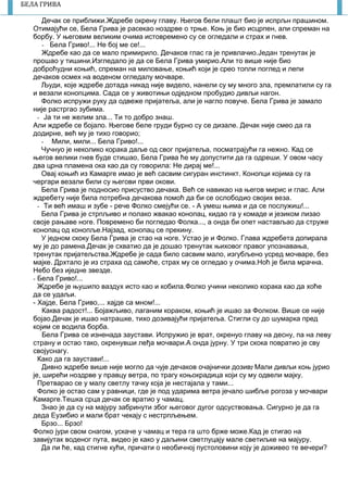 7
БЕЛА ГРИВА
Дечак се приближи.Ждребе окрену главу. Његов бели плашт био је испрљн прашином.
Отимајући се, Бела Грива је расекао ноздрве о трње. Коњ је био исцрпен, али спреман на
борбу. У његовим великим очима истовремено су се огледали и страх и гнев.
- Бела Гриво!... Не бој ме се!...
Ждребе као да се мало примирило. Дечаков глас га је привлачио.Један тренутак је
прошао у тишини.Изгледало је да се Бела Грива умирио.Али то више није био
доброћудни коњић, спреман на миловање, коњић који је срео топли поглед и лепи
дечаков осмех на воденом огледалу мочваре.
Људи, које ждребе дотада никад није видело, нанели су му много зла, премлатили су га
и везали конопцима. Сада се у животињи одједном пробудио дивљи нагон.
Фолко испружи руку да одвеже пријатеља, али је нагло повуче. Бела Грива је замало
није растргао зубима.
- Ја ти не желим зла... Ти то добро знаш.
Али ждребе се бојало. Његове беле груди бурно су се дизале. Дечак није смео да га
додирне, већ му је тихо говорио;
- Мили, мили... Бела Гриво!...
Чучнуо је неколико корака даље од свог пријатеља, посматрајући га нежно. Кад се
његов велики гнев буде стишао, Бела Грива ће му допустити да га одреши. У овом часу
два црна пламена ока као да су говорила: Не дирај ме!...
Овај коњић из Камарге имао је већ сасвим сигуран инстинкт. Конопци којима су га
чергари везали били су његови први окови.
Бела Грива је подносио присуство дечака. Већ се навикао на његов мирис и глас. Али
ждребету није била потребна дечакова помоћ да би се ослободио својих веза.
- Ти већ имаш и зубе - рече Фолко смејући се. - А умеш њима и да се послужиш!...
Бела Грива је стрпљиво и полако жвакао конопац, кидао га у комаде и језиком лизао
своје рањаве ноге. Повремено би погледао Фолка..., а онда би опет настављао да струже
конопац од конопље.Најзад, конопац се прекину.
У једном скоку Бела Грива је стао на ноге. Устао је и Фолко. Глава ждребета допирала
му је до рамена.Дечак је схватио да је дошао тренутак њиховог правог упознавања,
тренутак пријатељства.Ждребе је сада било сасвим мало, изгубљено усред мочваре, без
мајке. Дрхтало је из страха од самоће, страх му се огледао у очима.Ноћ је била мрачна.
Небо без иједне звезде.
- Бела Гриво!...
Ждребе је њушило ваздух исто као и кобила.Фолко учини неколико корака као да хоће
да се удаљи.
- Хајде, Бела Гриво,... хајде са мном!...
Каква радост!... Бојажљиво, лаганим кораком, коњић је ишао за Фолком. Више се није
бојао.Дечак је ишао натрашке, тихо дозивајући пријатеља. Стигли су до шумарка пред
којим се водила борба.
Бела Грива се изненада заустави. Испружио је врат, окренуо главу на десну, па на леву
страну и остао тако, окренувши леђа мочвари.А онда јурну. У три скока повратио је сву
својуснагу.
Како да га заустави!...
Дивно ждребе више није могло да чује дечаков очајнички дозив. Мали дивљи коњ јурио
је, ширећи ноздрве у правцу ветра, по трагу коњокрадица који су му одвели мајку.
Претварао се у малу светлу тачку која је нестајала у тами...
Фолко је остао сам у равници, где је под ударима ветра јечало шибље рогоза у мочвари
Камарге.Тешка срца дечак се вратио у чамац.
Знао је да су на мајуру забринути због његовог дугог одсуствовања. Сигурно је да га
деда Еузибио и мали брат чекају с нестрпљењем.
Брзо... Брзо!
Фолко јури свом снагом, ускаче у чамац и тера га што брже може.Кад је стигао на
завијутак воденог пута, видео је како у даљини светлуцају мале светиљке на мајуру.
Да ли ће, кад стигне кући, причати о необичној пустоловини коју је доживео те вечери?
 