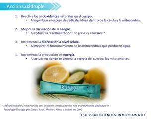 • Al equilibrar el exceso de radicales libres dentro de la célula y la mitocondria.
• Al reducir la “caramelización” de grasas y azúcares.*
• Al mejorar el funcionamiento de las mitocondrias que producen agua.
• Al actuar en donde se genera la energía del cuerpo: las mitocondrias.
1. Reactiva los antioxidantes naturales en el cuerpo.
2. Mejora la circulación de la sangre.
3. Incrementa la hidratación a nivel celular.
1. Incrementa la producción de energía.
• Al equilibrar el exceso de radicales libres dentro de la célula y la mitocondria.
• Al reducir la “caramelización” de grasas y azúcares.*
• Al mejorar el funcionamiento de las mitocondrias que producen agua.
• Al actuar en donde se genera la energía del cuerpo: las mitocondrias.
Acción Cuádruple
 