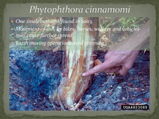 Belair National Park - Plan of Management | PDF