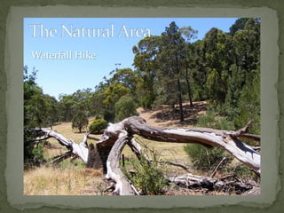 Belair National Park - Plan of Management | PDF