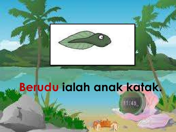 Belajar Ayat Kvkvkv