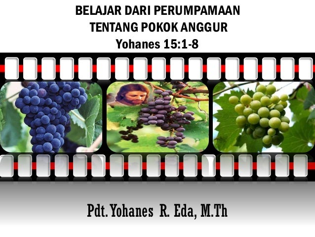 91+ Gambar Pokok Anggur Dan Rantingnya HD 91+ Gambar Pokok Anggur Dan Rantingnya HD
