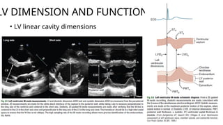 Functional Lv Rv Comprehensive Basic Echocardiography: Views, Measurements, and ...