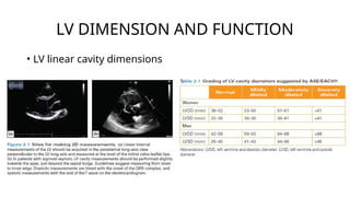 Functional Lv Rv Comprehensive Basic Echocardiography: Views, Measurements, and ...