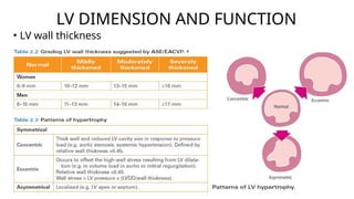 Functional Lv Rv Comprehensive Basic Echocardiography: Views, Measurements, and ...