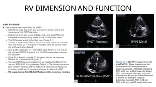 Rvf Vs Rvd Comprehensive Basic Echocardiography: Views, Measurements, and ...