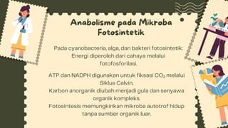 Belajar Enzim dan Metabolisme Presentasi dalam Hijau Krem Ilustrasi ...
