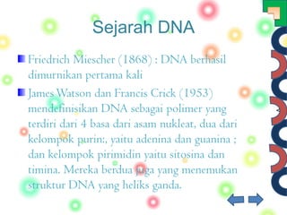 Belajar gen, dna dan kromosom 2
