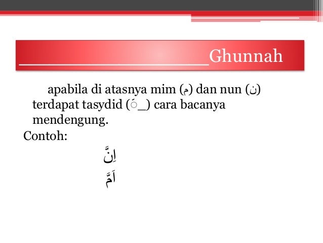 Belajar ilmu tajwid