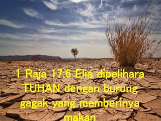 1 Raja 17:6 Elia dipelihara
TUHAN dengan burung
gagak yang memberinya
 