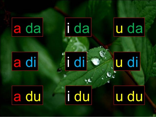 Mengajar anak membaca